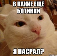 В какие ещё ботинки Я насрал?