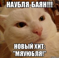 наубля-баян!!! новый хит: "мяуюбля!"