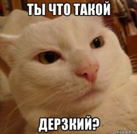 ты что такой дерзкий?