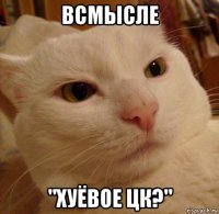 всмысле "хуёвое цк?"