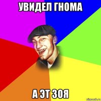 увидел гнома а эт зоя