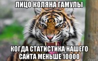 лицо коляна гамулы когда статистика нашего сайта меньше 10000