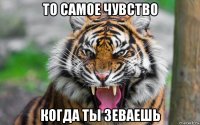 то самое чувство когда ты зеваешь