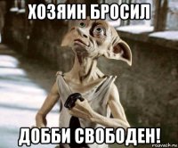 хозяин бросил добби свободен!