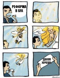 Дохуя хочешь Реформа в SFa