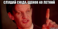 слушай сюда, щенок 40 летний 