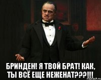  Бринден! Я твой брат! Как, ты всё еще неженат???!!!