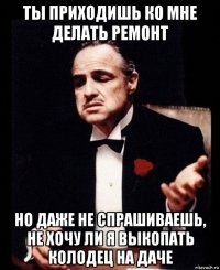 Ты приходишь ко мне делать ремонт Но даже не спрашиваешь, не хочу ли я выкопать колодец на даче