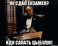 не сдал екзамен? иди сапать цыбулю!