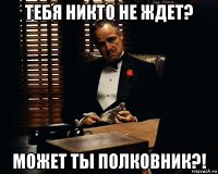 тебя никто не ждет? может ты полковник?!