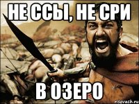 НЕ ССЫ, НЕ СРИ В озеро