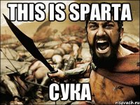 This is Sparta Сука