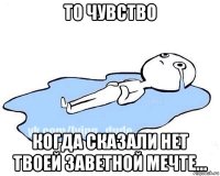 то чувство когда сказали нет твоей заветной мечте...