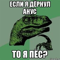 если я дёрнул анус то я пёс?