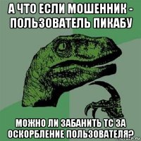 а что если мошенник - пользователь пикабу можно ли забанить тс за оскорбление пользователя?