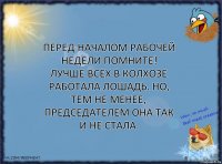 Перед началом рабочей недели помните!
Лучше всех в колхозе работала лошадь. Но, тем не менее, председателем она так и не стала.