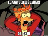 ебааать((ещё целых 56 дней