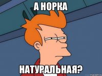 А норка Натуральная?