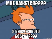 МНЕ КАЖЕТСЯ???? Я ВИЖУ ЖИВОГО БОБРА?????