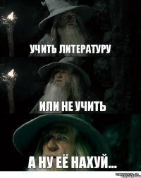 Учить литературу Или не учить А ну её нахуй...