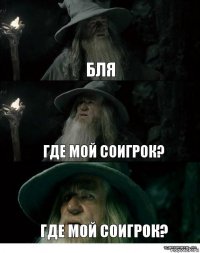 бля где мой соигрок? Где мой соигрок?