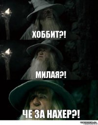 Хоббит?! Милая?! Че за нахер?!