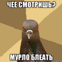 чее смотришь? мурло блеать