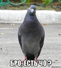 бро, есть чо ?