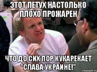 Этот петух настолько плохо прожарен Что до сих пор кукарекает "Слава Украине!"