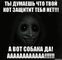 ты думаешь что твой кот защитит тебя НЕТ!!! А ВОТ СОБАКА ДА! аааааааааааа!!!!!!