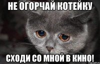 Не огорчай котейку сходи со мной в кино!