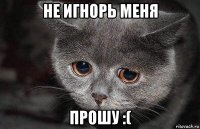 не игнорь меня прошу :(