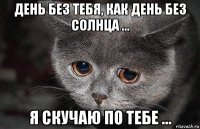 день без тебя, как день без солнца ... я скучаю по тебе ...