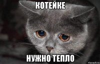 котейке нужно тепло