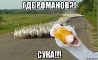 где романов?! сука!!!