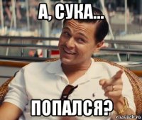 а, сука... попался?