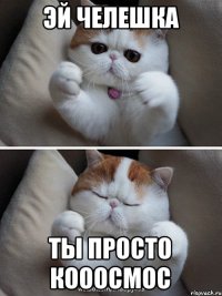 эй челешка ты просто кооосмос