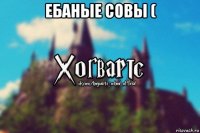 ебаные совы ( 