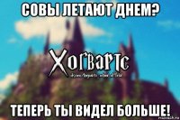 совы летают днем? теперь ты видел больше!