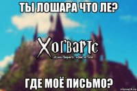 ты лошара что ле? где моё письмо?