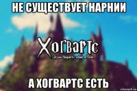 не существует нарнии а хогвартс есть