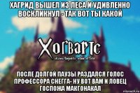 хагрид вышел из леса и удивленно воскликнул - так вот ты какой после долгой паузы раздался голос профессора снегга- ну вот вам и ловец госпожа макгонакал