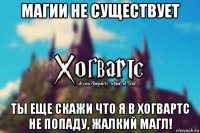 магии не существует ты еще скажи что я в хогвартс не попаду, жалкий магл!