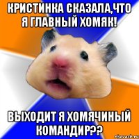 Кристинка сказала,что я главный хомяк! Выходит я хомячиный командир??