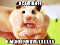 вступайте в мою группу )))))))))))