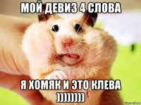 мой девиз 4 слова я хомяк и это клева ))))))))