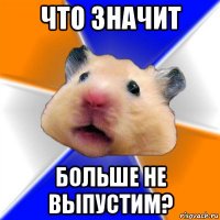 что значит больше не выпустим?