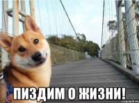  пиздим о жизни!