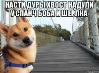 насти дуры хвост надули у спанч боба и шерлка 