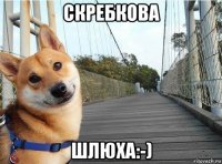 скребкова шлюха:-)